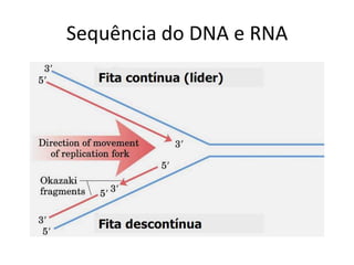Sequência do DNA e RNA
 