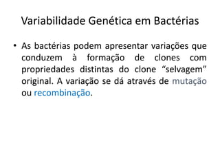 Variabilidade Genética em Bactérias
• As bactérias podem apresentar variações que
  conduzem à formação de clones com
  propriedades distintas do clone “selvagem”
  original. A variação se dá através de mutação
  ou recombinação.
 