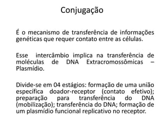 Conjugação

É o mecanismo de transferência de informações
genéticas que requer contato entre as células.

Esse intercâmbio implica na transferência de
moléculas de DNA Extracromossômicas –
Plasmídio.

Divide-se em 04 estágios: formação de uma união
específica doador-receptor (contato efetivo);
preparação para transferência do DNA
(mobilização); transferência do DNA; formação de
um plasmídio funcional replicativo no receptor.
 