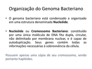 Organização do Genoma Bacteriano
• O genoma bacteriano está condensado e organizado
  em uma estrutura denominada Nucleóide.

• Nucleóide ou Cromossomo Bacteriano: constituído
  por uma única molécula de DNA fita dupla, circular,
  não delimitado por membrana nuclear, e é capaz de
  autoduplicação. Seus genes contém todas as
  informações necessárias à sobrevivência da célula.

Possuem apenas uma cópia de seu cromossomo, sendo
portanto haplóides.
 