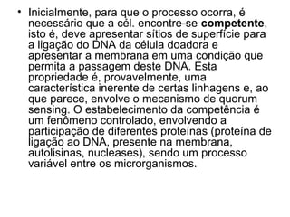 • Inicialmente, para que o processo ocorra, é 
necessário que a cél. encontre-se competente, 
isto é, deve apresentar sítios de superfície para 
a ligação do DNA da célula doadora e 
apresentar a membrana em uma condição que 
permita a passagem deste DNA. Esta 
propriedade é, provavelmente, uma 
característica inerente de certas linhagens e, ao 
que parece, envolve o mecanismo de quorum 
sensing. O estabelecimento da competência é 
um fenômeno controlado, envolvendo a 
participação de diferentes proteínas (proteína de 
ligação ao DNA, presente na membrana, 
autolisinas, nucleases), sendo um processo 
variável entre os microrganismos. 
 