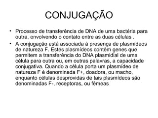 CONJUGAÇÃO 
• Processo de transferência de DNA de uma bactéria para 
outra, envolvendo o contato entre as duas células . 
• A conjugação está associada à presença de plasmídeos 
de natureza F. Estes plasmídeos contêm genes que 
permitem a transferência do DNA plasmidial de uma 
célula para outra ou, em outras palavras, a capacidade 
conjugativa. Quando a célula porta um plasmídeo de 
natureza F é denominada F+, doadora, ou macho, 
enquanto células desprovidas de tais plasmídeos são 
denominadas F-, receptoras, ou fêmeas 
 