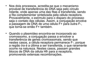 • Nos dois processos, acredita-se que o mecanismo 
provável de transferência do DNA seja pelo círculo 
rolante, onde apenas uma das fitas é transferida, sendo 
a fita complementar sintetizada pela célula receptora. 
Provavelmente, o estímulo para o disparo do processo 
seja o contato das células. Assim, a conjugação envolve 
a passagem de DNA de uma célula F+ para outra F-, 
que torna-se então F+ também. 
• Quando o plasmídeo encontra-se incorporado ao 
cromossomo, a conjugação passa a envolver a 
transferência de genes cromossomais, sendo que 
nestes casos, a célula receptora permanece F-, porque 
a região tra é a última a ser transferida, o que raramente 
ocorre na natureza. Nestes casos, passam grandes 
blocos de DNA da célula Hfr para a receptora, 
promovendo extensas recombinações. 
 