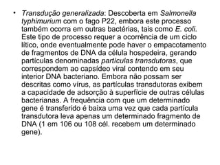 • Transdução generalizada: Descoberta em Salmonella 
typhimurium com o fago P22, embora este processo 
também ocorra em outras bactérias, tais como E. coli. 
Este tipo de processo requer a ocorrência de um ciclo 
lítico, onde eventualmente pode haver o empacotamento 
de fragmentos de DNA da célula hospedeira, gerando 
partículas denominadas partículas transdutoras, que 
correspondem ao capsídeo viral contendo em seu 
interior DNA bacteriano. Embora não possam ser 
descritas como vírus, as partículas transdutoras exibem 
a capacidade de adsorção à superfície de outras células 
bacterianas. A frequência com que um determinado 
gene é transferido é baixa uma vez que cada partícula 
transdutora leva apenas um determinado fragmento de 
DNA (1 em 106 ou 108 cél. recebem um determinado 
gene). 
 