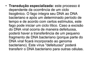 • Transdução especializada: este processo é 
dependente da ocorrência de um ciclo 
lisogênico. O fago integra seu DNA ao DNA 
bacteriano e após um determinado período de 
tempo e de acordo com certos estímulos, este 
fago pode iniciar um ciclo lítico. Caso a excisão 
do DNA viral ocorra de maneira defeituosa, 
poderá haver a transferência de um pequeno 
fragmento de DNA bacteriano (porque parte do 
DNA viral ficará incorporado ao genoma 
bacteriano). Este vírus "defeituoso" poderá 
transferir o DNA bacteriano para outras células. 
 