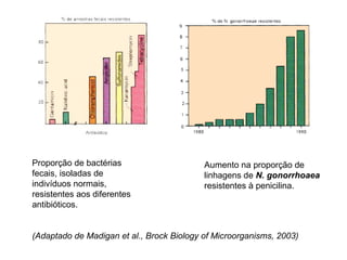 Proporção de bactérias 
fecais, isoladas de 
indivíduos normais, 
resistentes aos diferentes 
antibióticos. 
Aumento na proporção de 
linhagens de N. gonorrhoaea 
resistentes à penicilina. 
(Adaptado de Madigan et al., Brock Biology of Microorganisms, 2003) 
 