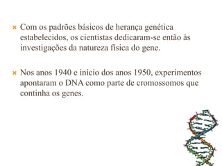  Com os padrões básicos de herança genética
estabelecidos, os cientistas dedicaram-se então às
investigações da natureza física do gene.
 Nos anos 1940 e início dos anos 1950, experimentos
apontaram o DNA como parte de cromossomos que
continha os genes.
 