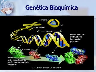 Genética Bioquímica
 