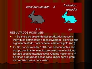 Indivíduo testadoIndivíduo testado XX IndivíduoIndivíduo
testadortestador
                                  
                                  
            
                                
                                
                
A ?A ? aaaa
RESULTADOS POSSÍVEISRESULTADOS POSSÍVEIS
 1 - Se entre os descendentes produzidos nascem1 - Se entre os descendentes produzidos nascem
indivíduos dominantes e recessivos(aa) , significa queindivíduos dominantes e recessivos(aa) , significa que
o genitor testado, com certeza, é heterozigoto (Aa ).o genitor testado, com certeza, é heterozigoto (Aa ).
 2 - Se, por outro lado, 100% dos descendentes são2 - Se, por outro lado, 100% dos descendentes são
do tipo dominante, é muito provável que o indivíduodo tipo dominante, é muito provável que o indivíduo
testado seja homozigoto (AA). Quanto maior for o nºtestado seja homozigoto (AA). Quanto maior for o nº
de filhos produzidos nesse caso, maior será o graude filhos produzidos nesse caso, maior será o grau
de precisão dessa conclusão.de precisão dessa conclusão.
 