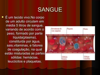 SANGUESANGUE
 É um tecido vivo.No corpoÉ um tecido vivo.No corpo
de um adulto circulam emde um adulto circulam em
média 5 litros de sangue,média 5 litros de sangue,
variando de acordo com ovariando de acordo com o
peso, formado por partepeso, formado por parte
líquida(plasma),líquida(plasma),
constituída por água,constituída por água,
sais,vitaminas, e fatoressais,vitaminas, e fatores
de coagulação, na qualde coagulação, na qual
estão misturadas as partesestão misturadas as partes
sólidas: hemácias,sólidas: hemácias,
leucócitos e plaquetas.leucócitos e plaquetas.
 
