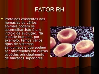 FATOR RHFATOR RH
 Proteínas existentes nasProteínas existentes nas
hemácias de várioshemácias de vários
animais podem seanimais podem se
assemelhar.Isto é umassemelhar.Isto é um
indício de evolução. Naindício de evolução. Na
espécie humana, porespécie humana, por
exemplo, temos váriosexemplo, temos vários
tipos de sistemastipos de sistemas
sanguíneos e que podemsanguíneos e que podem
ser observados em outrasser observados em outras
espécies principalmenteespécies principalmente
de macacos superiores.de macacos superiores.
 