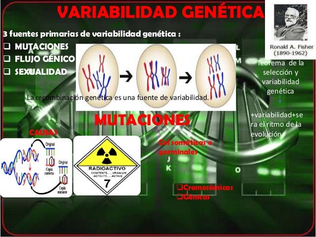Genética de las poblaciones