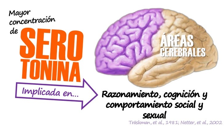 í    á   é           ó                ó            ó