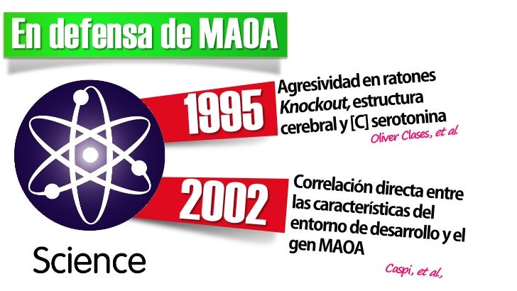 í     ó   ó    é        JOEL             RICCI               LóPEZ