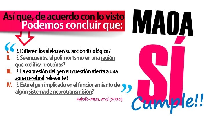 Genética de la violencia: Gen MAOA