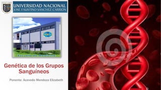 Genética de los Grupos
Sanguíneos
Ponente: Acevedo Mendoza Elizabeth
 