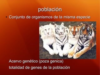 poblaciónpoblación
●
Conjunto de organismos de la misma especieConjunto de organismos de la misma especie
Acervo genético ...
