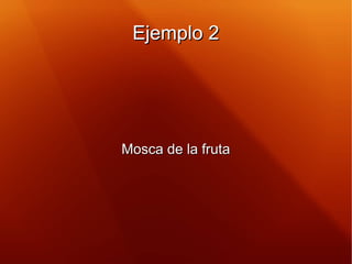 Ejemplo 2Ejemplo 2
Mosca de la frutaMosca de la fruta
 