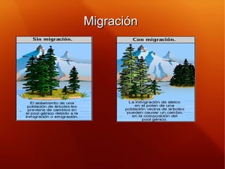 MigraciónMigración
 