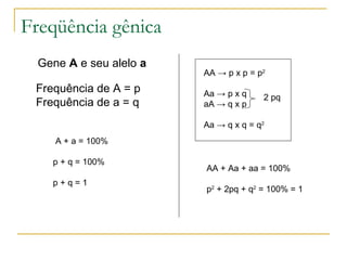 Freqüência gênica Gene  A  e seu alelo  a Frequência de A = p Frequência de a = q A + a = 100% p + q = 100% p + q = 1 AA  -> p x p = p 2 Aa  -> p x q  aA -> q x p  Aa -> q x q = q 2 2 pq AA + Aa + aa = 100% p 2  + 2pq + q 2  = 100% = 1 