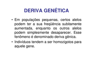 DERIVA GENÉTICA
• Em populações pequenas, certos alelos
  podem ter a sua freqüência subitamente
  aumentada, enquanto os outros alelos
  podem simplesmente desaparecer. Esse
  fenômeno é denominado deriva gênica.
• Indivíduos tendem a ser homozigotos para
  aquele gene.
 