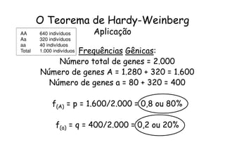 O Teorema de Hardy-Weinberg
AA      640 indivíduos     Aplicação
Aa      320 indivíduos
aa      40 indivíduos
Total           Frequências Gênicas:
        1.000 indivíduos

            Número total de genes = 2.000
        Número de genes A = 1.280 + 320 = 1.600
          Número de genes a = 80 + 320 = 400

             f(A) = p = 1.600/2.000 = 0,8 ou 80%

               f(a) = q = 400/2.000 = 0,2 ou 20%
 