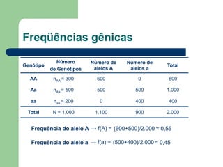 Freqüências gênicas
Genótipo
Número
de Genótipos
Número de
alelos A
Número de
alelos a
Total
AA nAA = 300 600 0 600
Aa nAa = 500 500 500 1.000
aa naa = 200 0 400 400
Total N = 1.000 1.100 900 2.000
Frequência do alelo A → f(A) = (600+500)/2.000 = 0,55
Frequência do alelo a → f(a) = (500+400)/2.000 = 0,45
 
