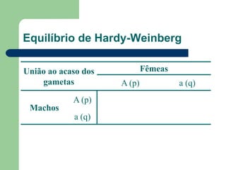 Equilíbrio de Hardy-Weinberg
União ao acaso dos
gametas
Fêmeas
A (p) a (q)
Machos
A (p)
a (q)
 