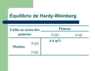 Equilíbrio de Hardy-Weinberg
União ao acaso dos
gametas
Fêmeas
A (p) a (q)
Machos
A (p)
AA (p2)
a (q)
 