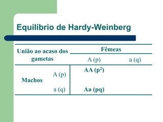 Equilíbrio de Hardy-Weinberg
União ao acaso dos
gametas
Fêmeas
A (p) a (q)
Machos
A (p)
AA (p2)
a (q) Aa (pq)
 