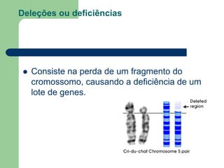 Deleções ou deficiências
 Consiste na perda de um fragmento do
cromossomo, causando a deficiência de um
lote de genes.
 