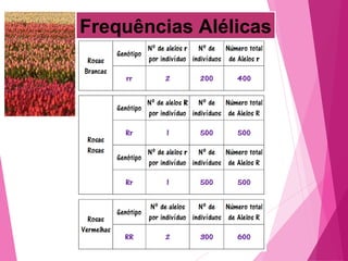 Frequências Alélicas 
 