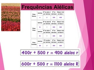 Frequências Alélicas 
 