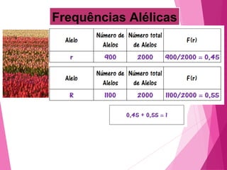 Frequências Alélicas 
 