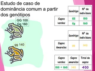 Estudo de caso de 
dominância comum a partir 
dos genótipos 
 