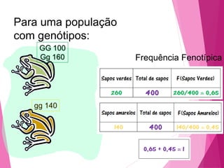 Para uma população 
com genótipos: 
Frequência Fenotípica 
 