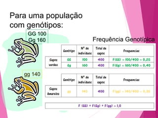 Para uma população 
com genótipos: 
Frequência Genotípica 
 
