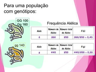 Para uma população 
com genótipos: 
Frequência Alélica 
 
