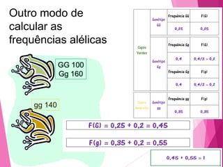 Outro modo de 
calcular as 
frequências alélicas 
 