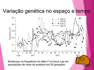 Variação genética no espaço e tempo 
Mudanças na frequência do alelo F no locus Lap em 
populações de ratos da pradaria em 20 gerações 
 