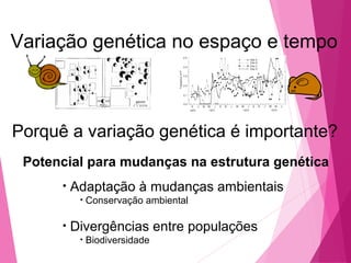 Variação genética no espaço e tempo 
Porquê a variação genética é importante? 
Potencial para mudanças na estrutura genética 
• Adaptação à mudanças ambientais 
• Conservação ambiental 
• Divergências entre populações 
• Biodiversidade 
 