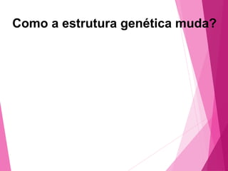 Como a estrutura genética muda? 
 