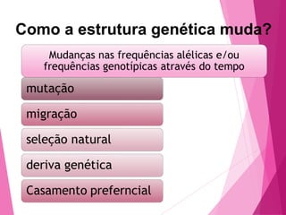 Como a estrutura genética muda? 
 