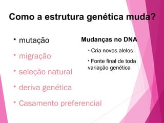Como a estrutura genética muda? 
Mudanças no DNA 
• mutação 
• migração 
• seleção natural 
• deriva genética 
• Casamento preferencial 
• Cria novos alelos 
• Fonte final de toda 
variação genética 
 