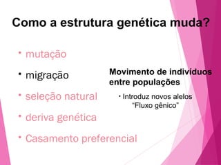 Como a estrutura genética muda? 
• mutação 
• migração 
• seleção natural 
• deriva genética 
• Casamento preferencial 
Movimento de indivíduos 
entre populações 
• Introduz novos alelos 
“Fluxo gênico” 
 