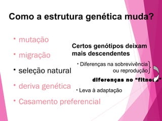 Como a estrutura genética muda? 
• mutação 
• migração 
• seleção natural 
• deriva genética 
• Casamento preferencial 
Certos genótipos deixam 
mais descendentes 
• Diferenças na sobrevivência 
ou reprodução 
diferenças no “fitness” 
• Leva à adaptação 
 