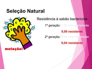 Seleção Natural 
Resistência à sabão bactericida 
1ª geração: 1,00 não resistente 
0,00 resistente 
mutação! 
2ª geração: 0,96 não resistente 
0,04 resistente 
 