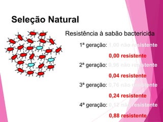 Seleção Natural 
Resistência à sabão bactericida 
1ª geração: 1,00 não resistente 
0,00 resistente 
2ª geração: 0,96 não resistente 
0,04 resistente 
3ª geração: 0,76 não resistente 
0,24 resistente 
4ª geração: 0,12 não resistente 
0,88 resistente 
 