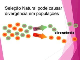 Seleção Natural pode causar 
divergência em populações 
divergência 
norte 
sul 
 