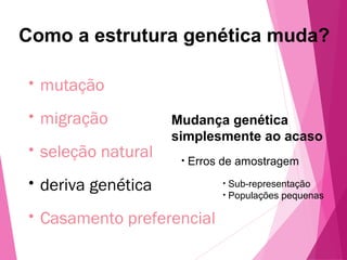 Como a estrutura genética muda? 
• mutação 
• migração 
• seleção natural 
• deriva genética 
• Casamento preferencial 
Mudança genética 
simplesmente ao acaso 
• Erros de amostragem 
• Sub-representação 
• Populações pequenas 
 